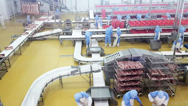 肉食品車(chē)間地面