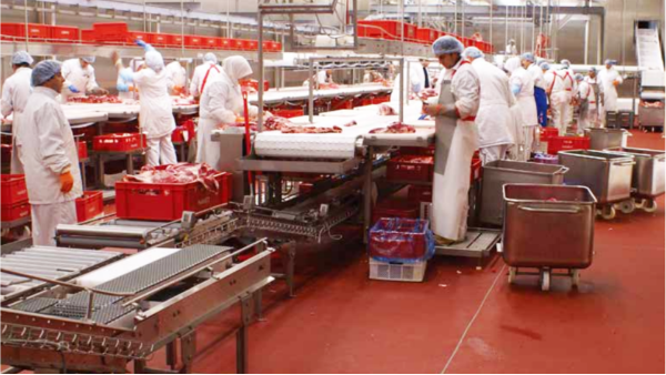 聚氨酯砂漿地坪 聚氨酯砂漿地坪