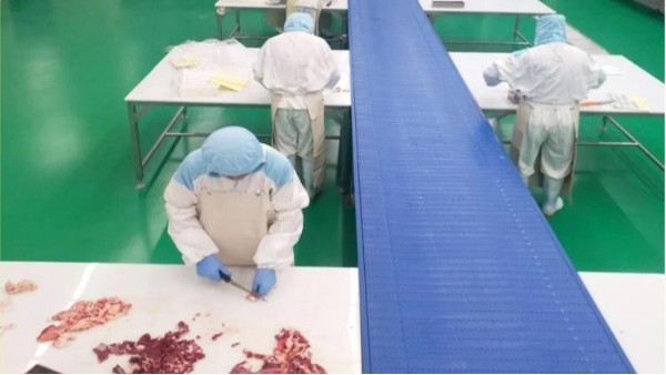 屠宰車間地面 屠宰車間地面