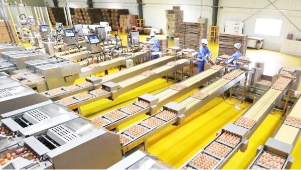 食品車間地面 食品車間地面