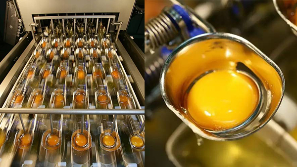 食品車間地面 食品車間地面