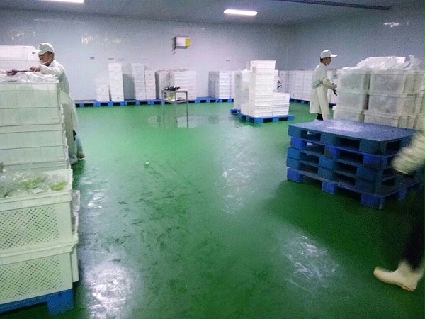 聚氨酯砂漿地坪 聚氨酯砂漿地坪